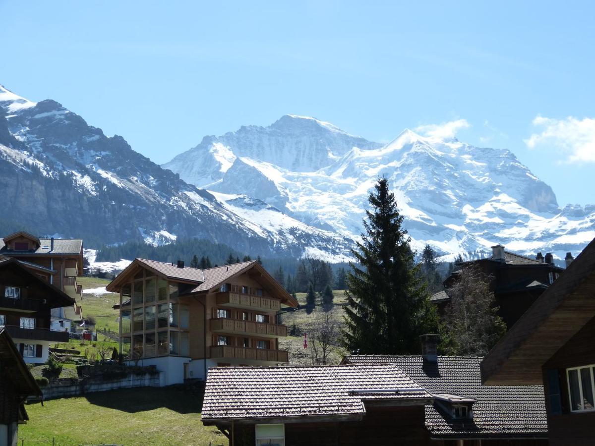 Chalet Bella Vista 4 Wengen Dış mekan fotoğraf